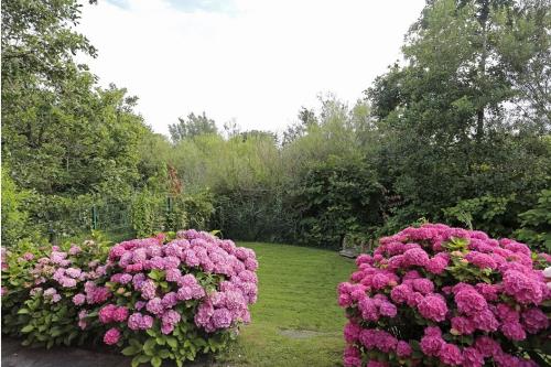 Borkum Ferienhaus Commandeurskoje - Commandeurskoje - Garten