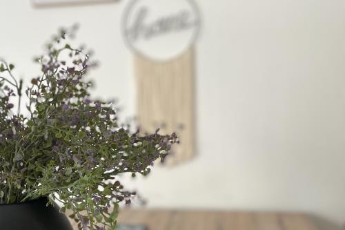 Borkum Ferienhaus Marli