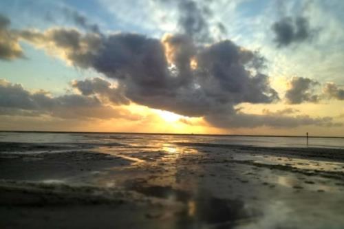 Borkum Ferienwohnung 4 in der Villa Constanze