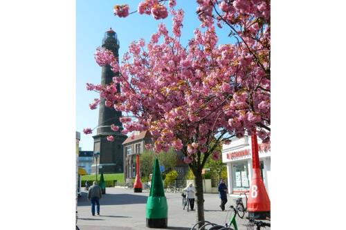 Borkum Ferienwohnung 4 in der Villa Constanze