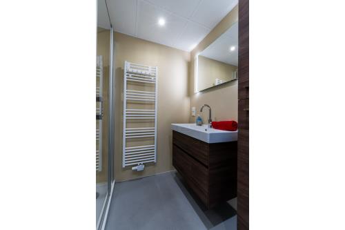 Borkum Haus Regina - Ferienwohnung Birkenstock