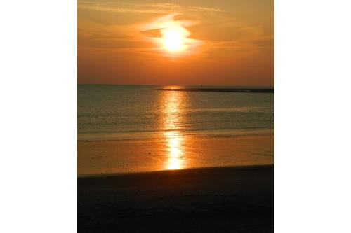 Borkum Ferienwohnung Möwennest III Wohnung 3