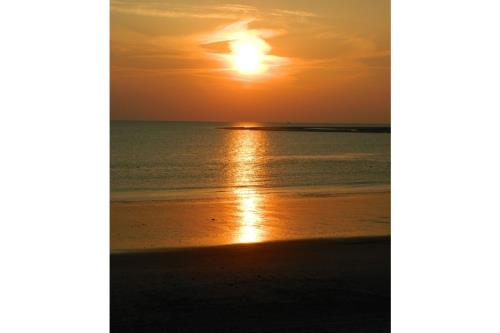 Borkum Ferienwohnung Schilfdüne