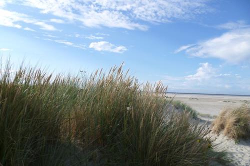 Borkum Ferienwohnung Möwennest III Wohnung 11