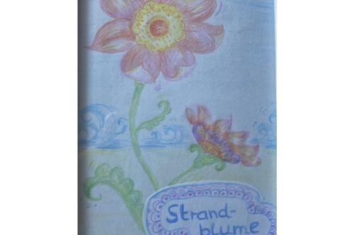 Borkum Ferienwohnung Strandblume Borkum